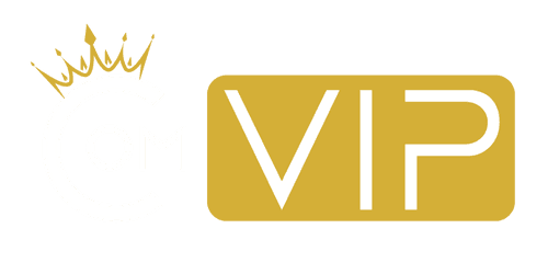 COMVIP Transfer Executivo